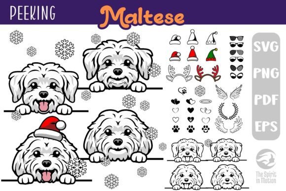 Peeking Maltese SVG, Clipart Cutfile Review